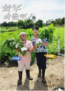 跑男 极速篇